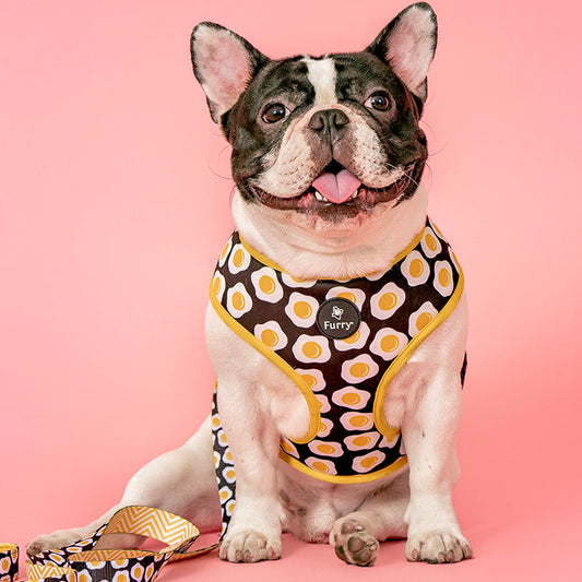 Reversible Dog Harness Sunny Side Up